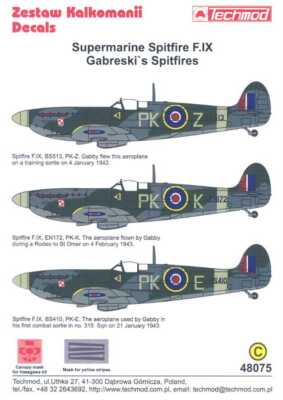 Techmod Decals 1/48 GABRESKI'S SPITFIRE F.IX with Paint Masks