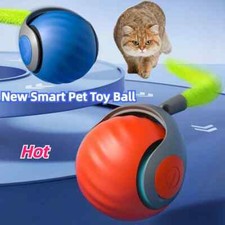 Cat Interactive Toy Cat Play Toy cat Indoor Interactive Electric Rolling toy
