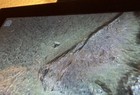 Picture 15 of 21