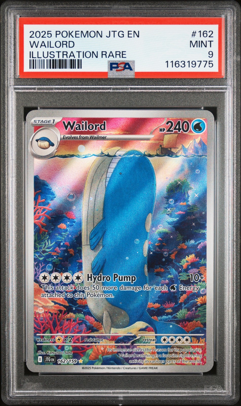 Wailord #162