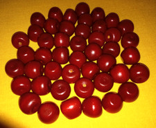 46 Red Wooden Cherries for Crafts