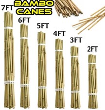 Bamboo Garden Cane Thick Quality Plant Flower Support Canes Stake Heavy Duty