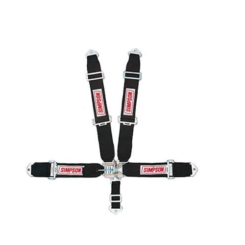 Simpson 29065P 55INB/I-ROLL BAR V HARNESS B/I main image 0