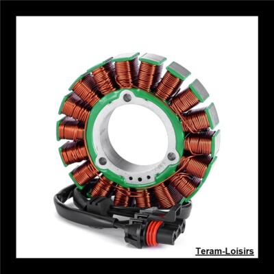 Stator Zündung für Polaris ACE 500 von 2017 und 2018 NEU