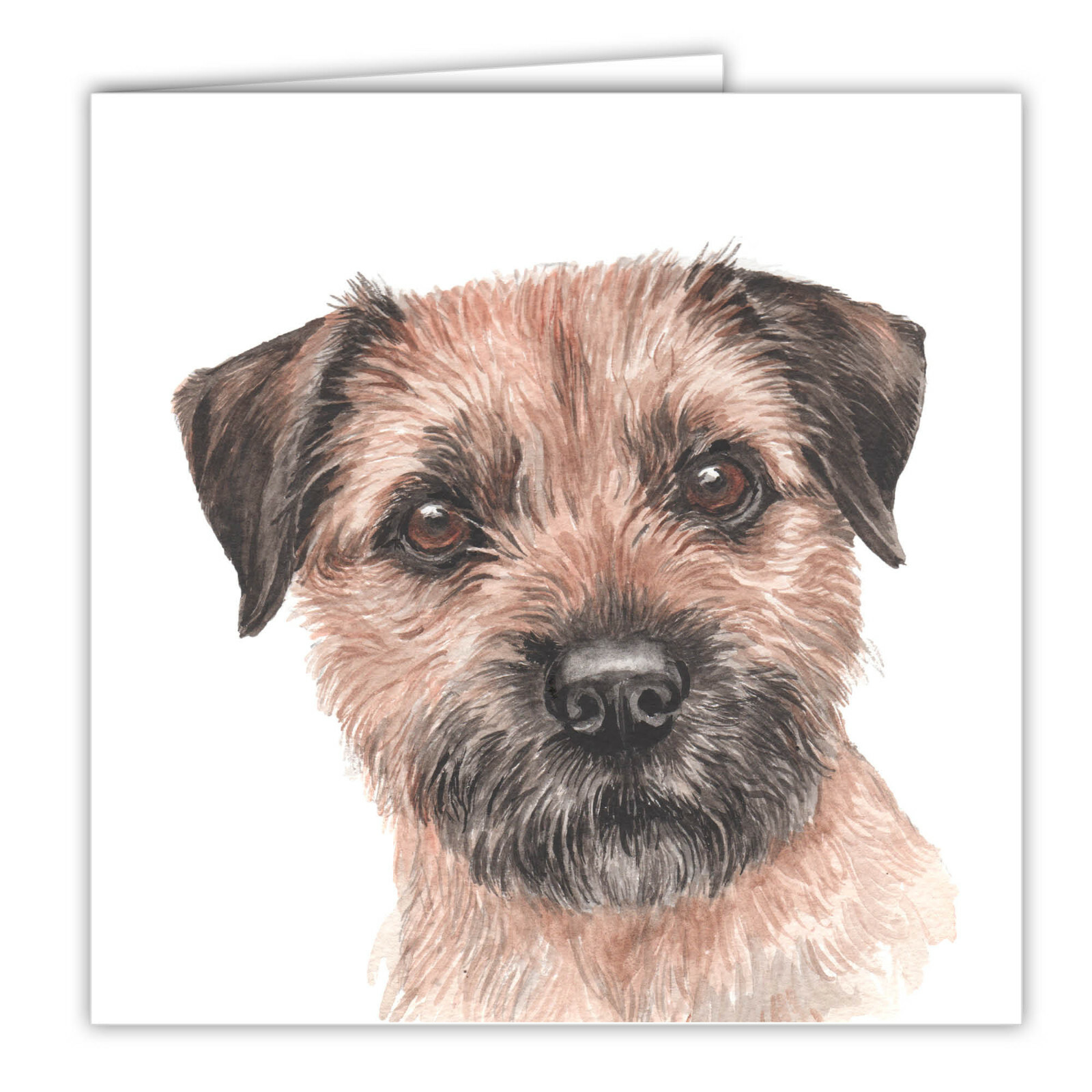 Border Terrier greetings card dog blank card dogs Border Terriers Waggydogz art