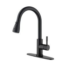 Kitchen Faucet with Pull Out Sprayer