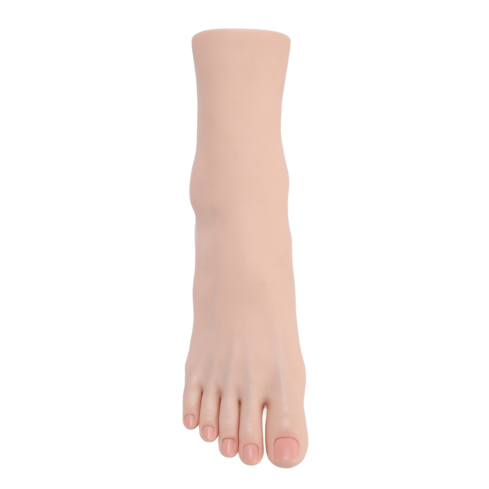 ﹢Silicone Foot Model Soft Touch Flexible Joint Positioning Mannequin
