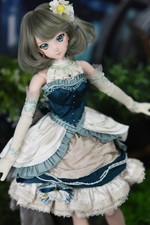 VOLKS Dollfie Dream Idol Master Takagaki Kaed...