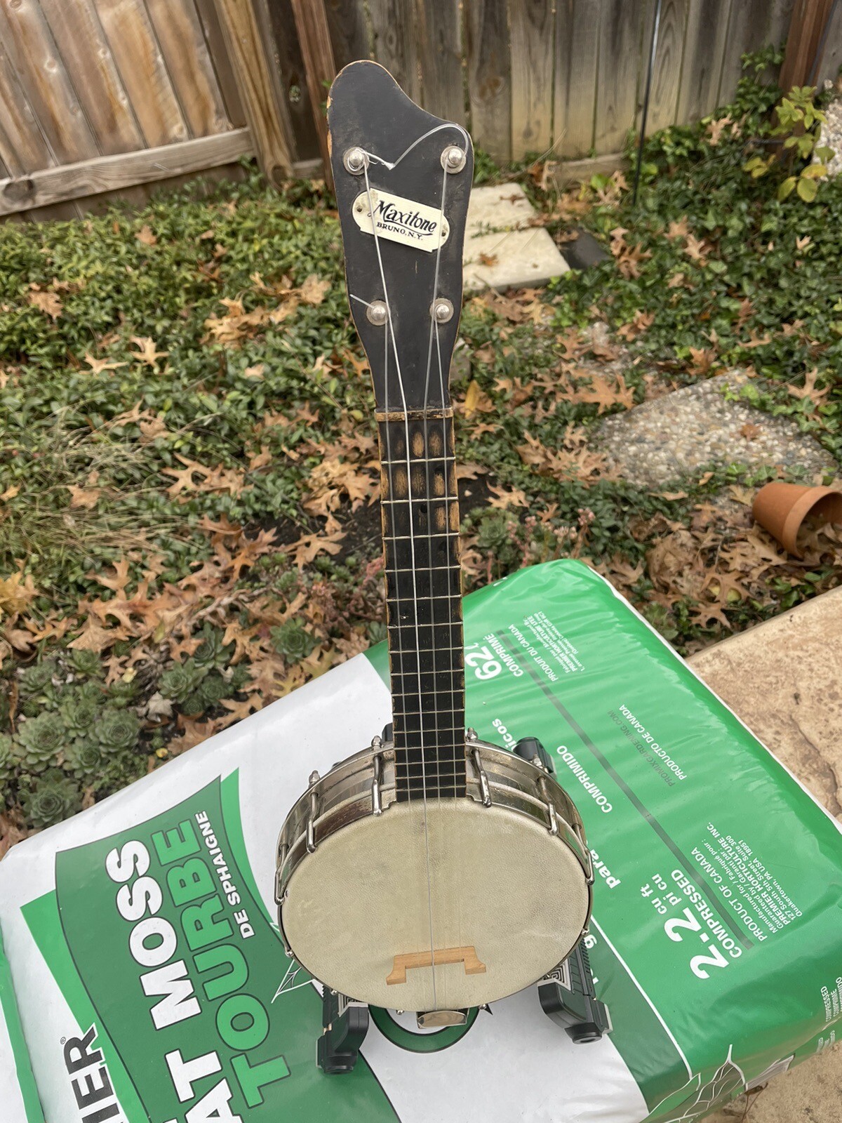 Antique MaxiTone UKing Banjo Ukulele eBay