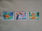 Bild 2 von 3