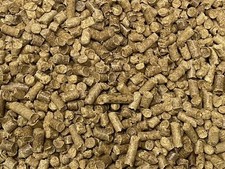 ABF Barley Pellets,Cherry Shrimp,Freshwater Shrimp,Shrimp Food,Shrimp Kit,S418