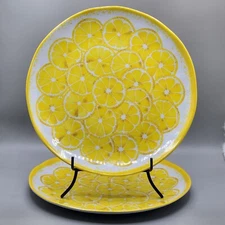 Shabby Chic 11" Dinner Plates 100% Melamine Lemon Slices Set of 2 Picnic Outdoor