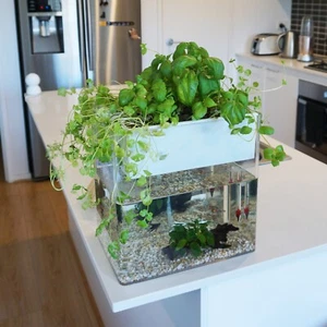 Nature Garden Aquaponics Kit Self-Cleaning Fish Tank Aquarium Indoor Greenhouse