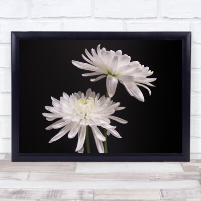Einfache Schönheit blühende Blüten botanischer Pastellstiel Botanik Wandkunstdruck