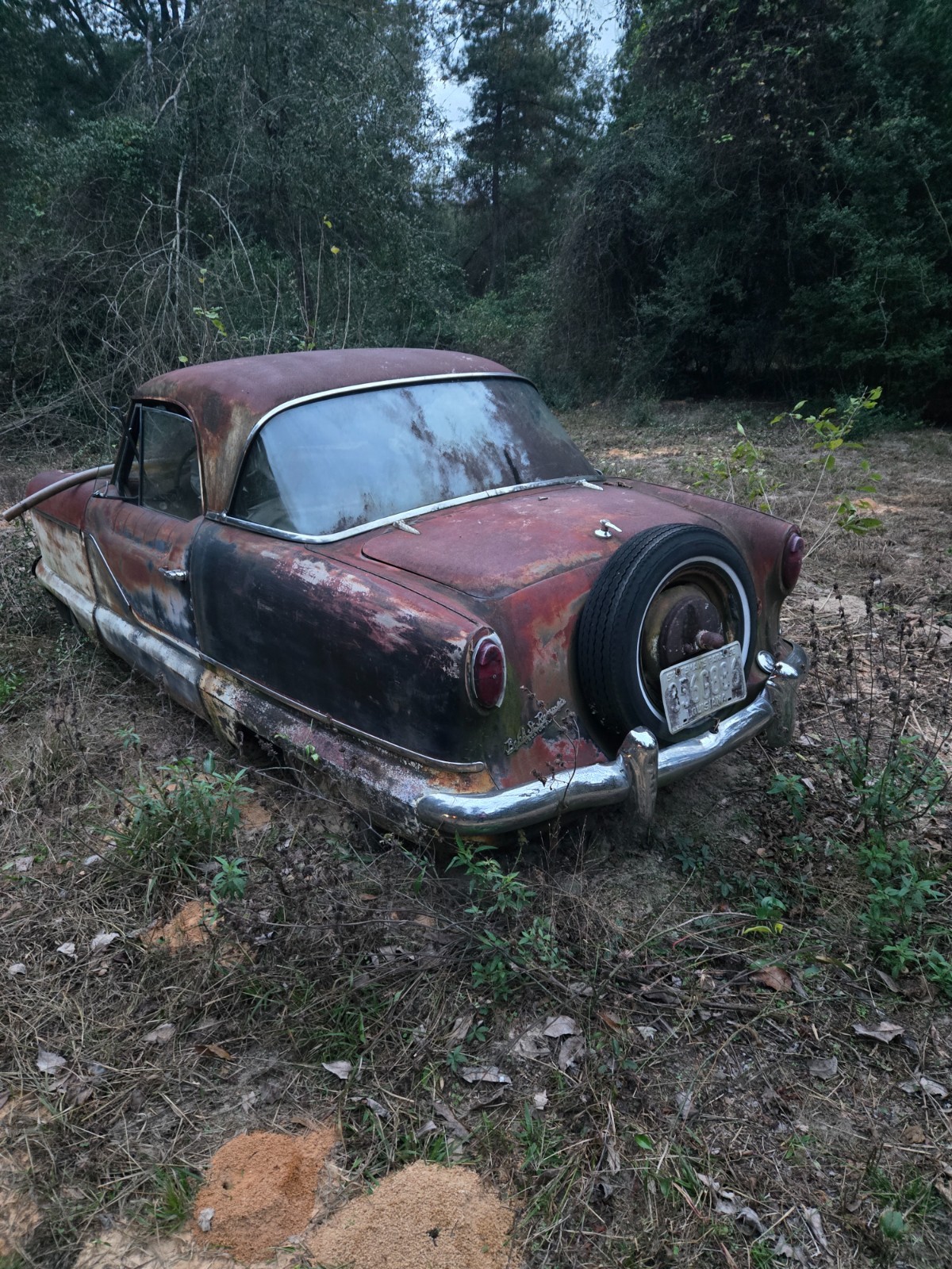 1960 Nash Metropolitan for sale in Center Texas