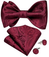 Men Bow Tie Paisley Striped Self-Bow Tie for Men and Silk Woven Burgundy Color