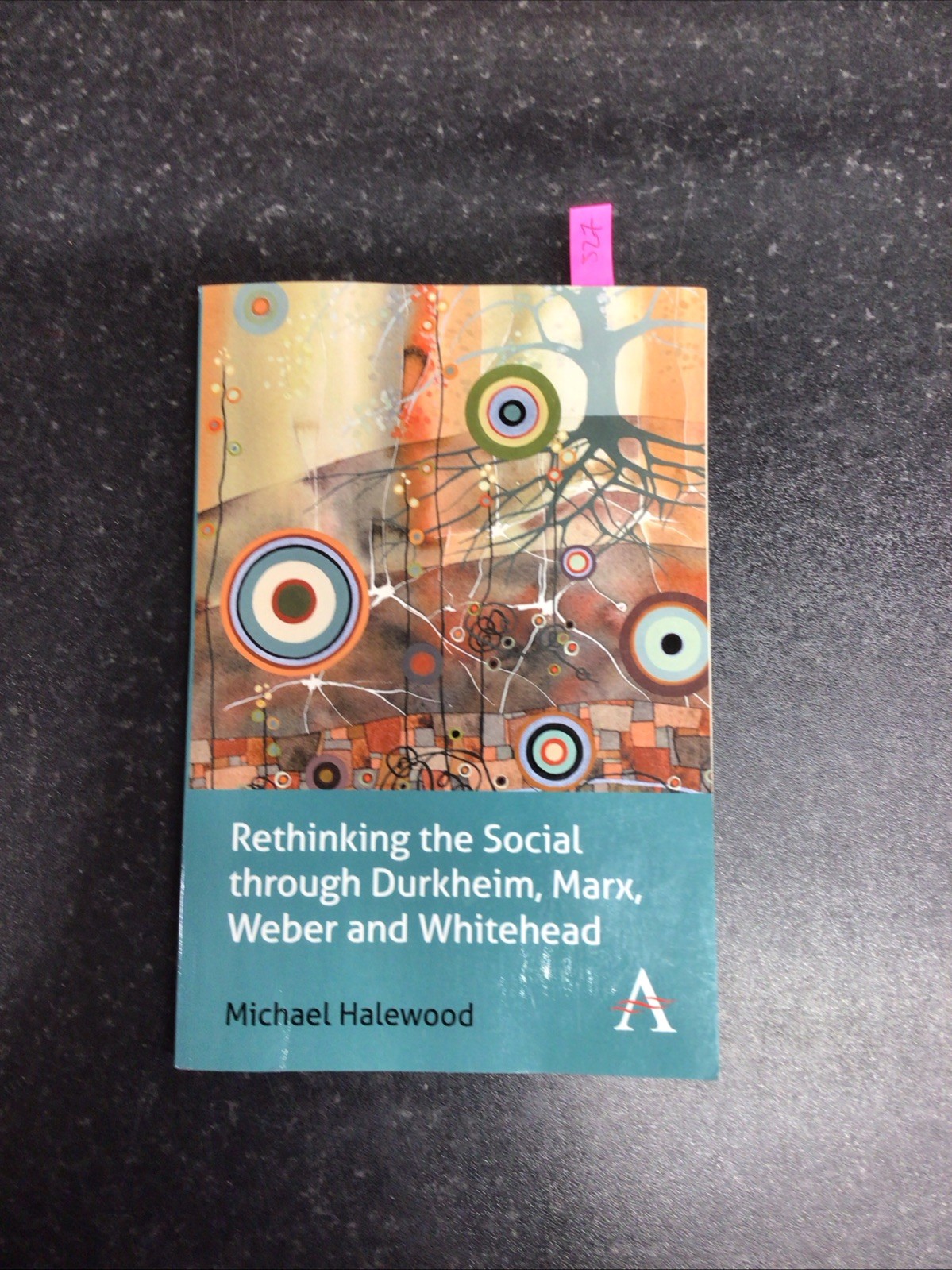 Rethinking the Social through Durkheim, Marx, Weber and White... - 9781783083695