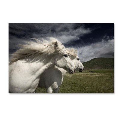 Interplay by Bragi Ingibergsson, 22x32-Inch Canvas Wall Art