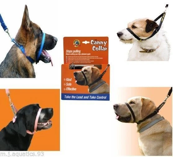 Canny hotsell collar problems