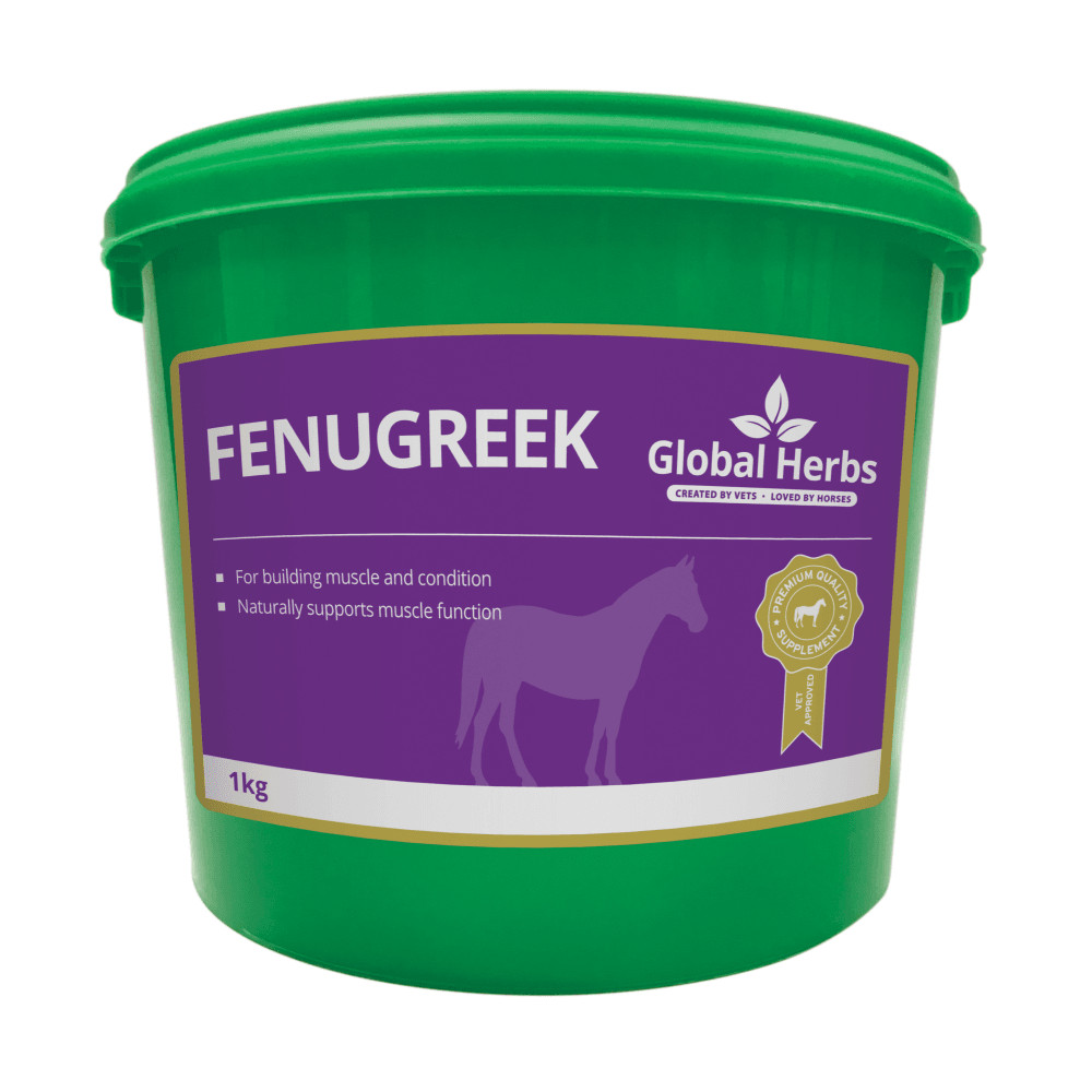 Global Herbs - Fenugreek Seeds 1kg