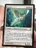MTG - Purity - Lorwyn - NM - $1 Shipping