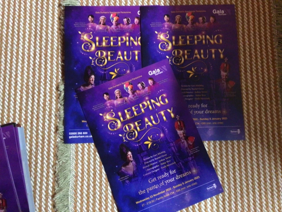 DURHAM GALA THEATRE PANTOMIME FLYERS 2022/23 x 3