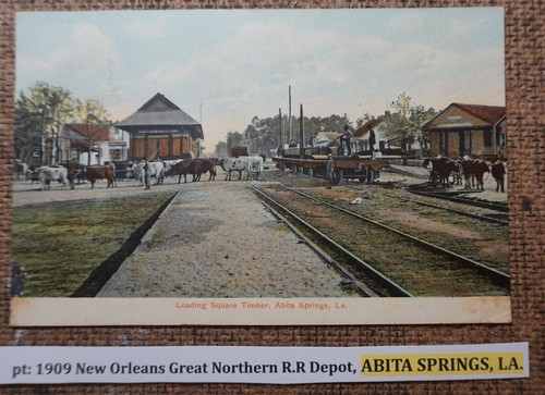 pt: 1909 New Orleans Great Northern R.R Depot, ABITA SPRINGS, LA. Postcard LITHO