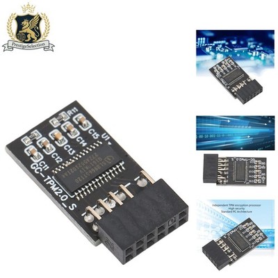 Easy Use 12 Pin TPM Encryption Module for Secure Computing - Works with Win 10/7
