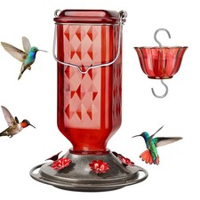 24oz Glass Hummingbird Feeder 6 Ports Ant Moat Leak Proof Outdoor Garden Decor