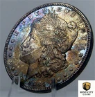 1884 MORGAN SILVER DOLLAR GEM BU $1  "BURIED TREASURE " TONER PREMIUM EYE CANDY