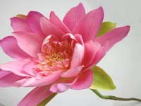 KüNstliche Seerose Mit Stiel, Rosa-GrüN Ca. 75 Cm