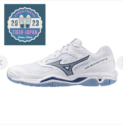 MIZUNO Handball Wave Phantom 3 X1GA226097 White Navy Unisex Men Shoes
