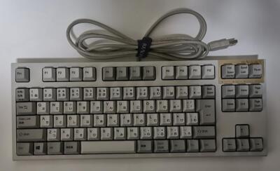 Topre REALFORCE R2 TKL SA wired keyboard 30g equal load | eBay
