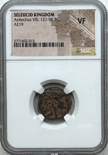 KRÓLESTWO SELEUCYDÓW - ANTIOCH VIII 121-96 P.N.E19 - NGC VF - DARMOWA WYSYŁKA!