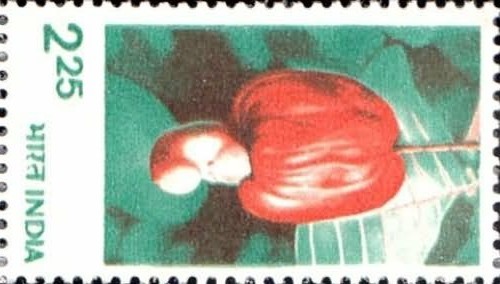 India 1980 Rural Prosperity Definitive stamp Cashew Fruit Cuisine Gastronomy 1v - Picture 2 of 2