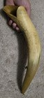 Vintage LOS ANGELES Carved Horn Souvenir From 1924 — photo 5