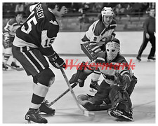 WHA 1972 Ottawa Nationals Goalie Gilles Gratton Game Action   8 X 10 Photo Pic