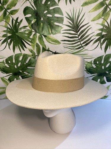 TERESSA FOGLIA Curateur Lynn Rachel Zoe 