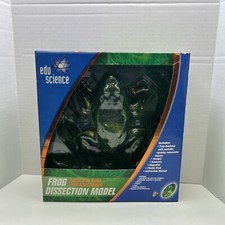 Toys R US Edu Science Frog Dissection Model