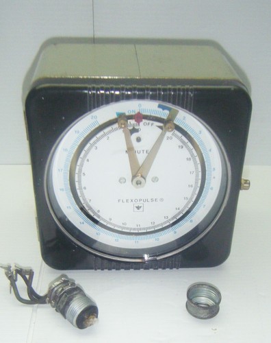 Eagle Signal Controls Flexopulse 0-20 min. Flexopulse Repeat Cycle Timer - Picture 17 of 18