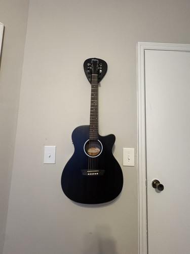 Washburn Deep Forest Ebony ACE Acoustic-Electric Guitar Natural Matte