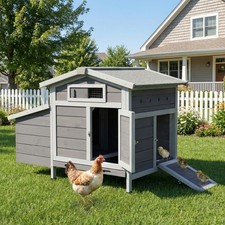 Free-Range Wooden Chicken Coop with Asphalt Roof, Pull-Out Tray Nesting Box Gray