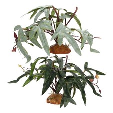 Terrarium Plants Fake Realistic Indoor Decor Bearded Dragon Artificial