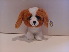Ty Beanie Boo Cookie 6  2013 Both Purple Tags Solid Eyes