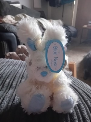 Carte Blanche Me To You My Blue Nosed Friends Schneeglöckchen der Hase, Mini, neu mit Etikett