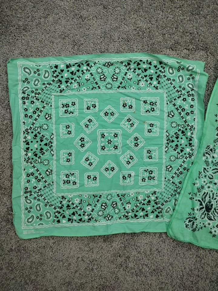 (2) BANDANAS RN 13960 Daisies Clover Hearts 60 年代 70 年代绿色 — 第 2/4 张图片