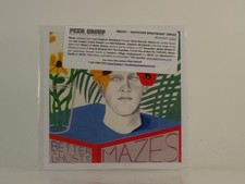 MAZES HAYFEVER WRISTBAND (H1) 1 Track Promo CD Single including Picture Sleeve F