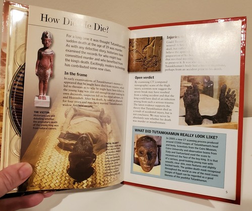 Alte Zivilisation Mysterien Stonehenge - König Tut - Schriftrollen vom Toten Meer DVD Buch - Bild 10 von 12