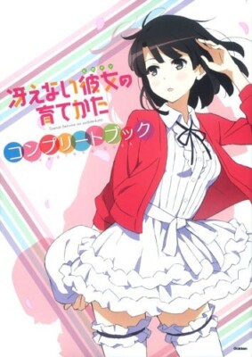 Saekano Complete Book How to Raise a Boring Girlfriend Japanese Manga JAPAN
