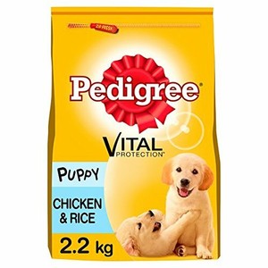 pedigree dry dog food offers